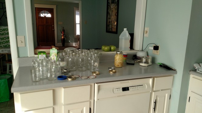 IMG_20160214_125212615